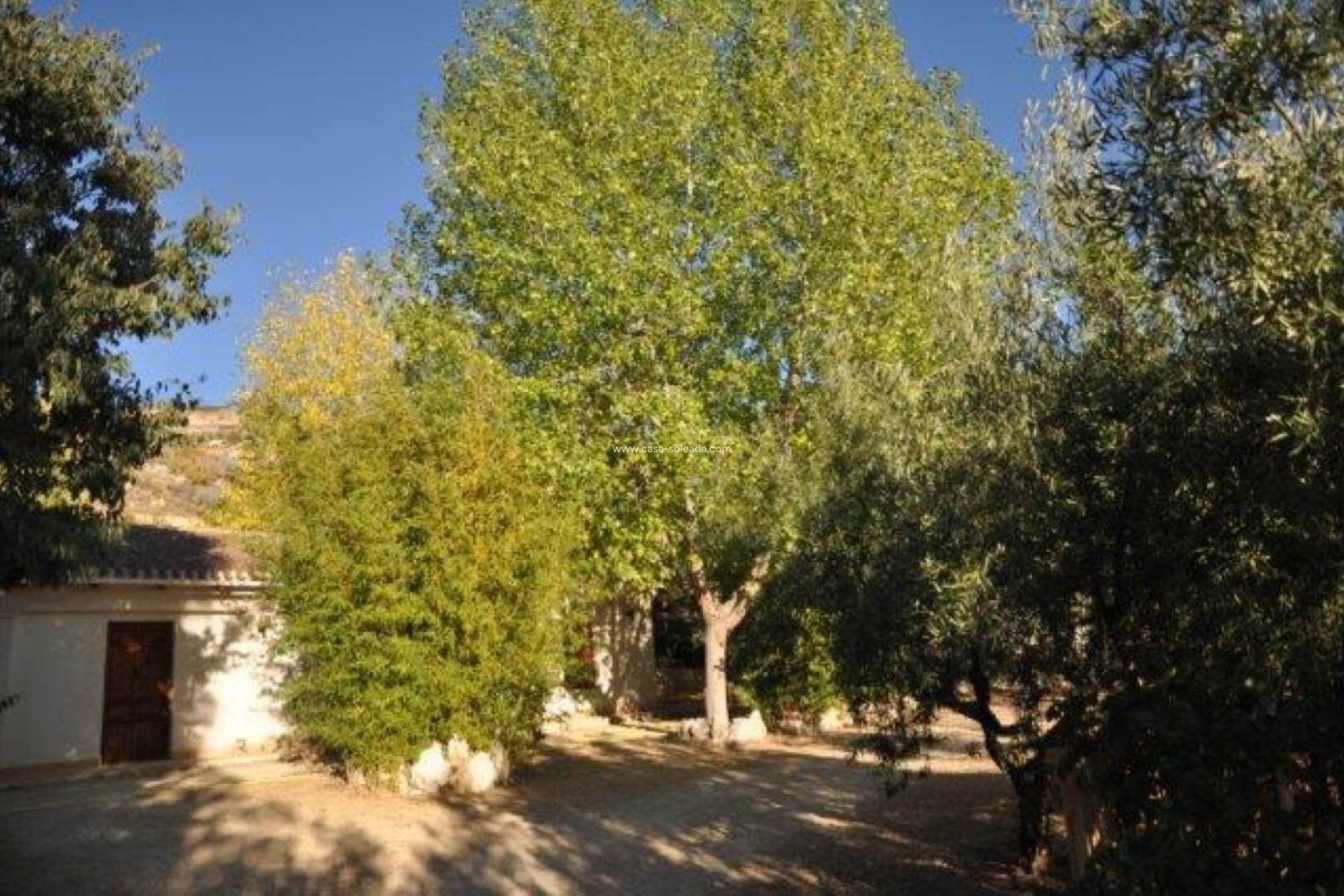 Revente - Country Property/Finca - Torremanzanas - Costa Blanca