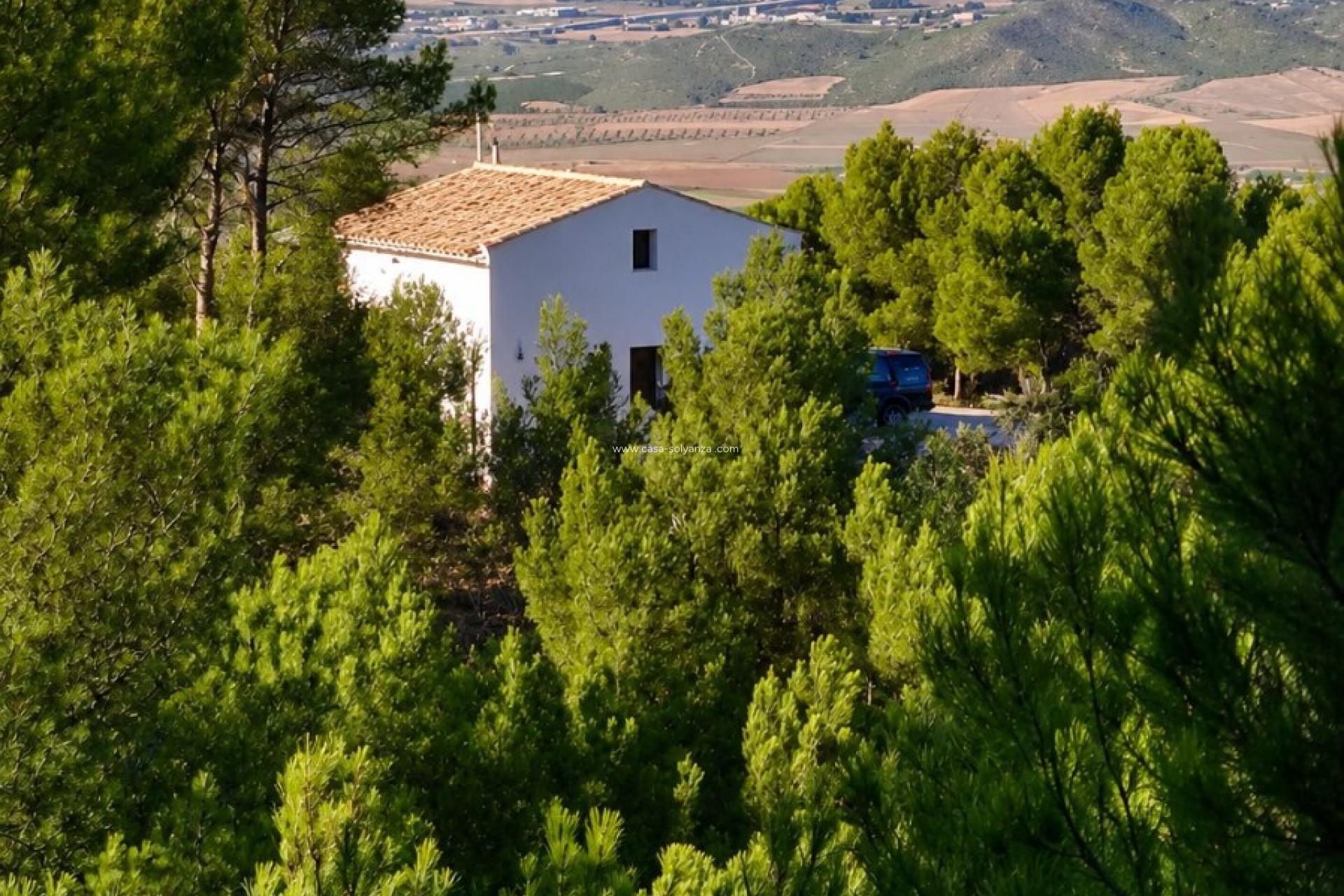 Revente - Country Property/Finca - Villena - Inland