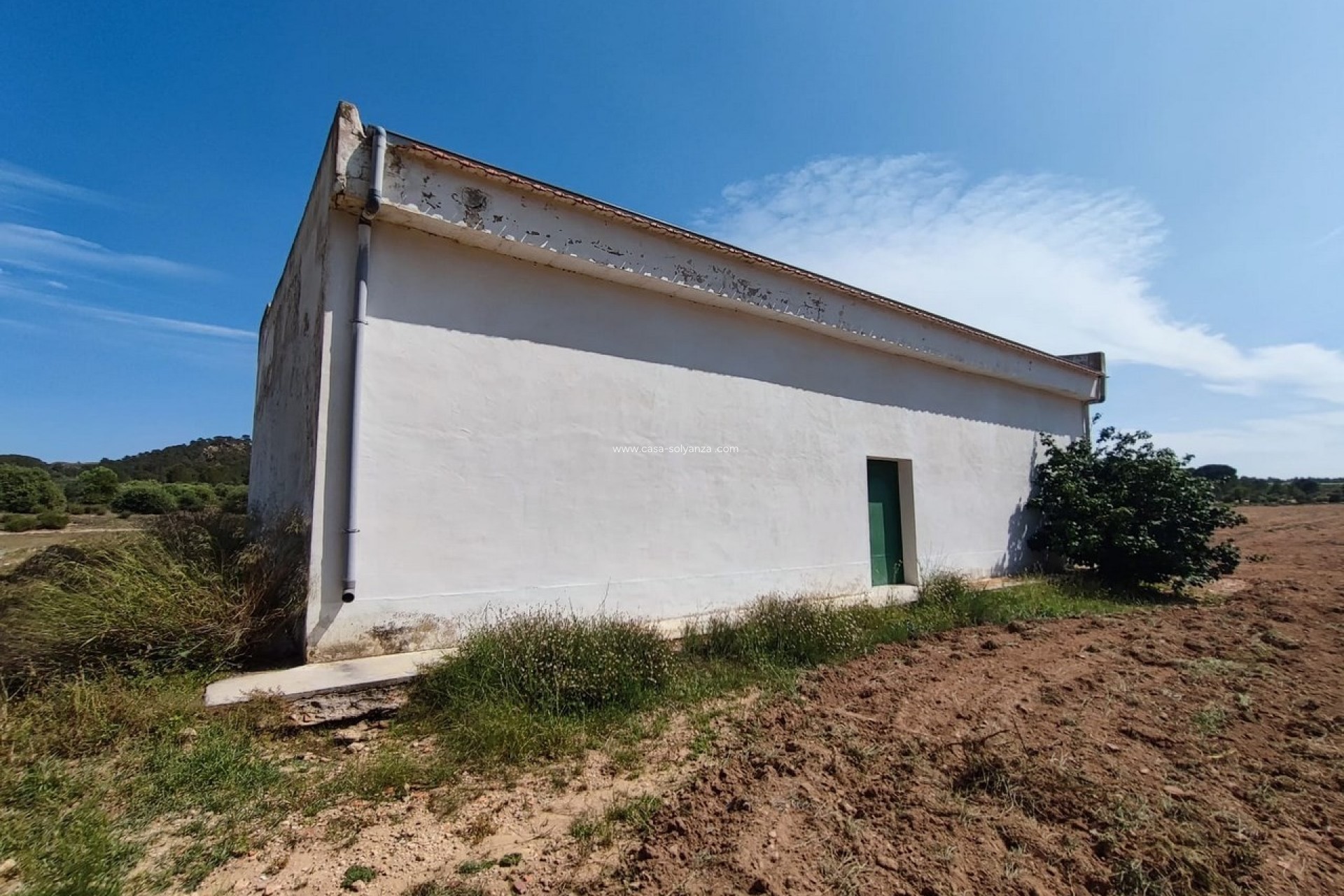 Revente - Country Property/Finca - Yecla - Inland