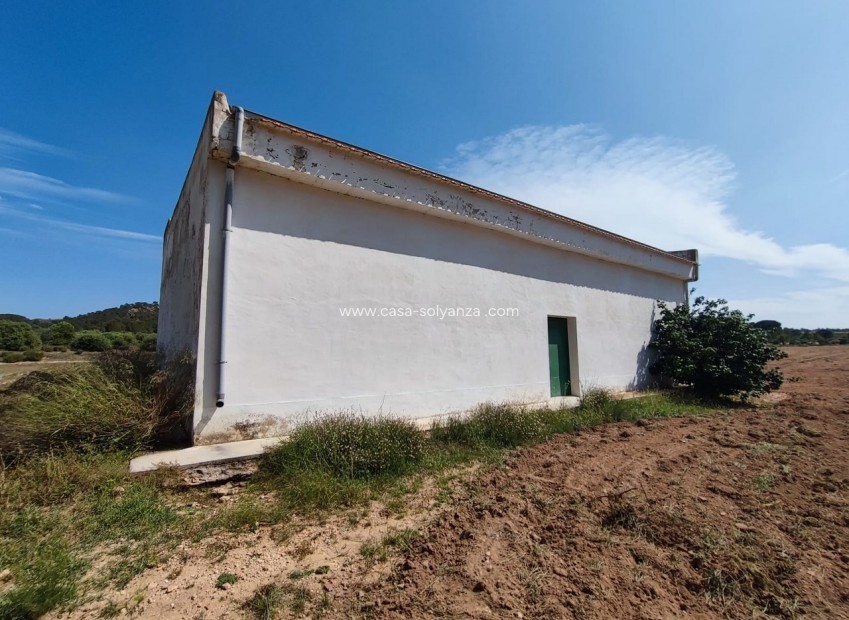 Revente - Country Property/Finca - Yecla - Inland