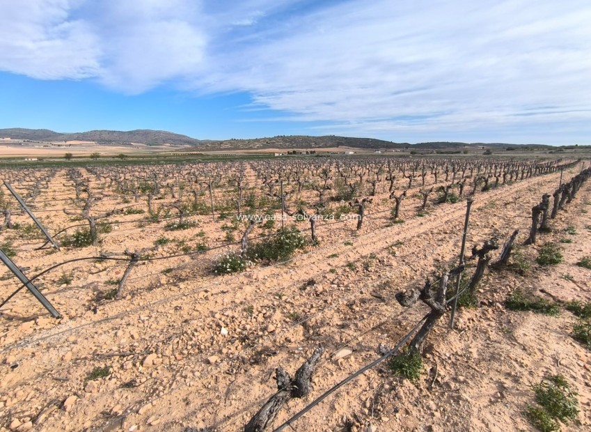 Revente - Country Property/Finca - Yecla - Inland
