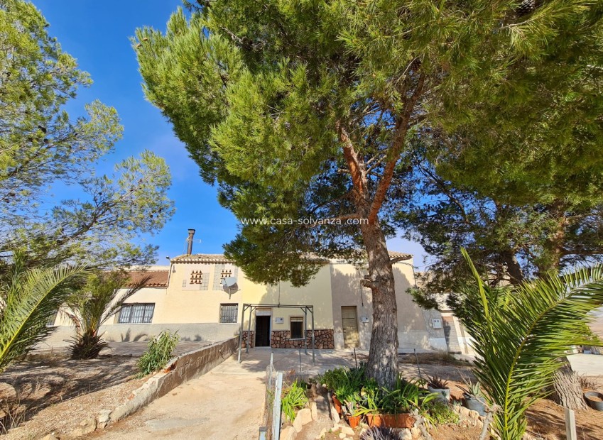 Revente - Country Property/Finca - Yecla - Inland