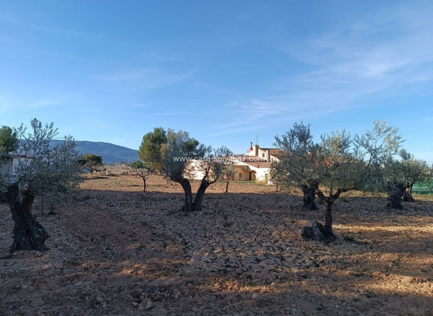 Revente - Country Property/Finca - Yecla - Inland