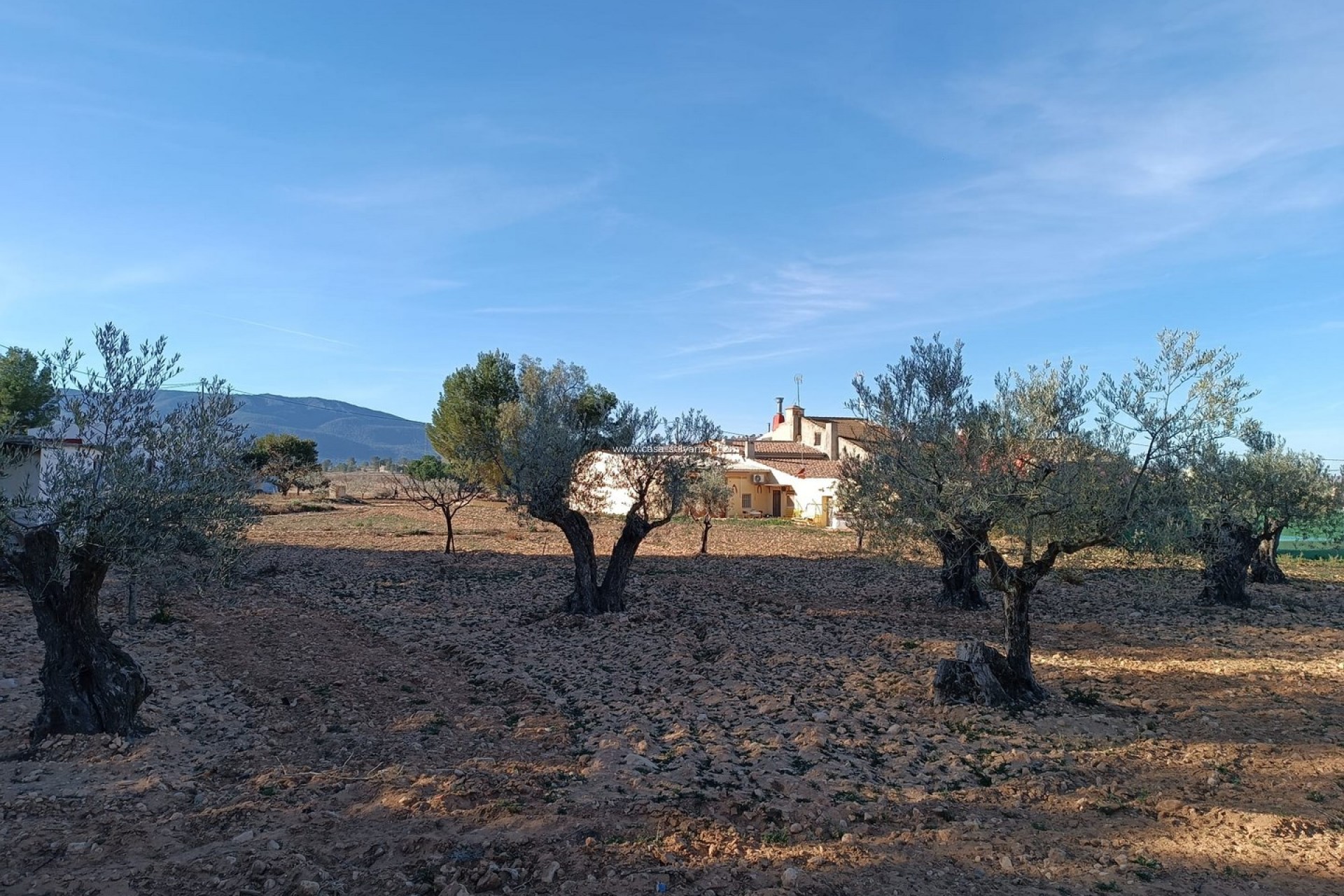 Revente - Country Property/Finca - Yecla - Inland