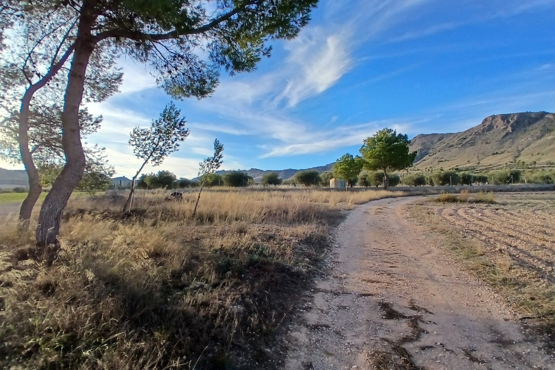 Revente - Country Property/Finca - Yecla - Inland