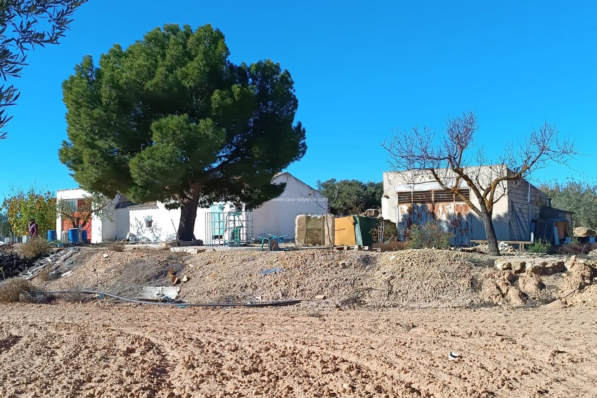 Revente - Country Property/Finca - Yecla - Inland