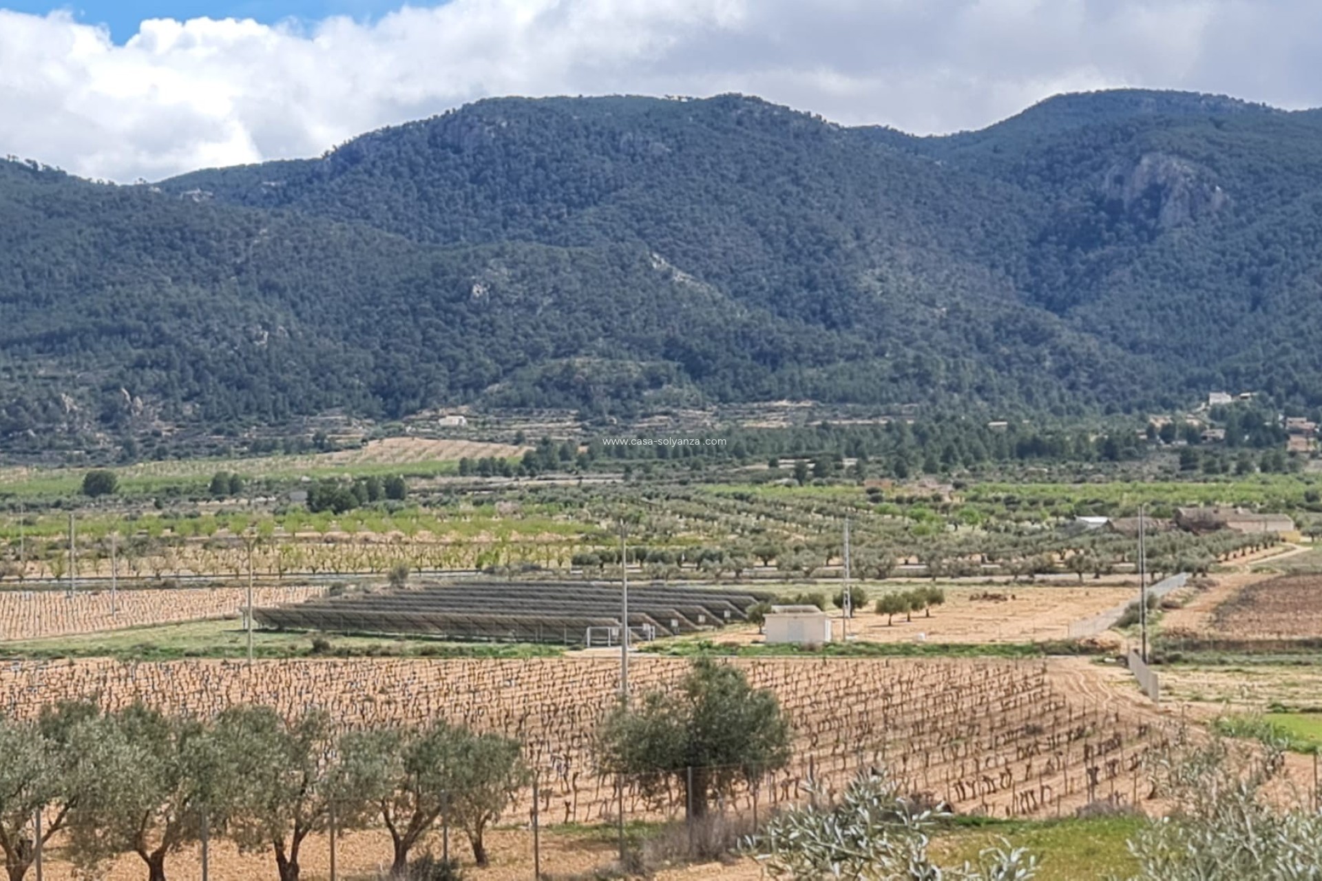 Revente - Country Property/Finca - Yecla - Inland