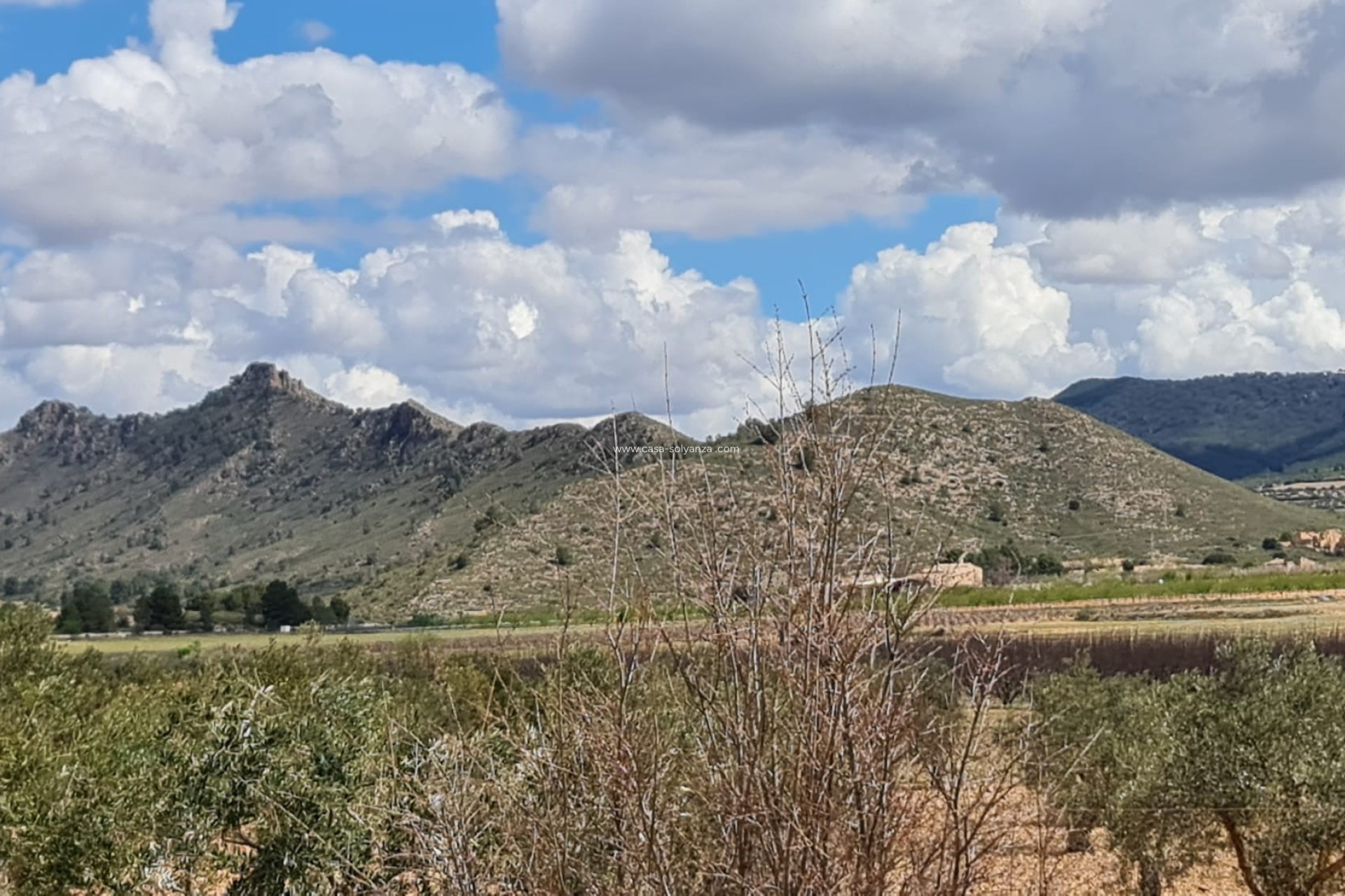 Revente - Country Property/Finca - Yecla - Inland