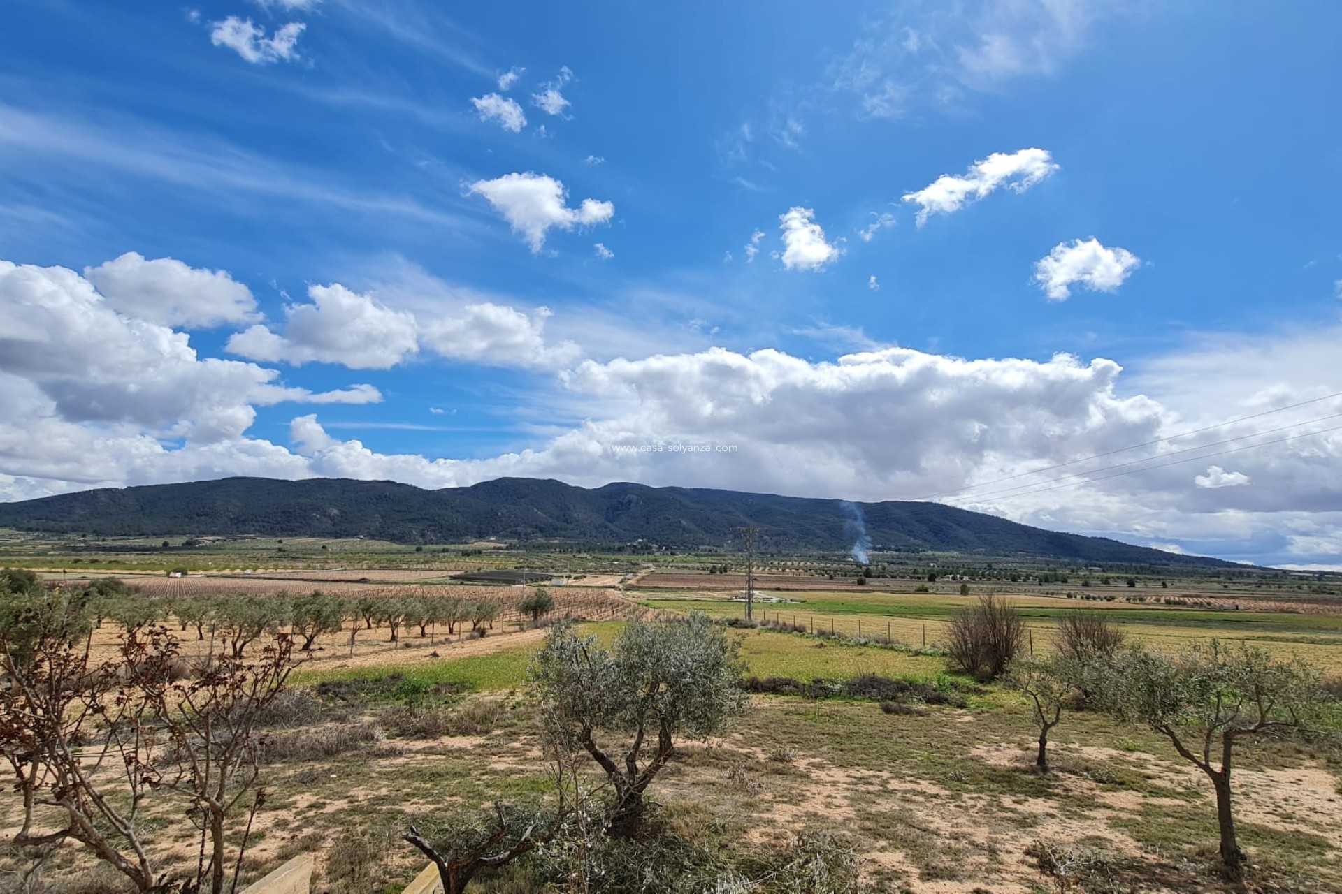 Revente - Country Property/Finca - Yecla - Inland