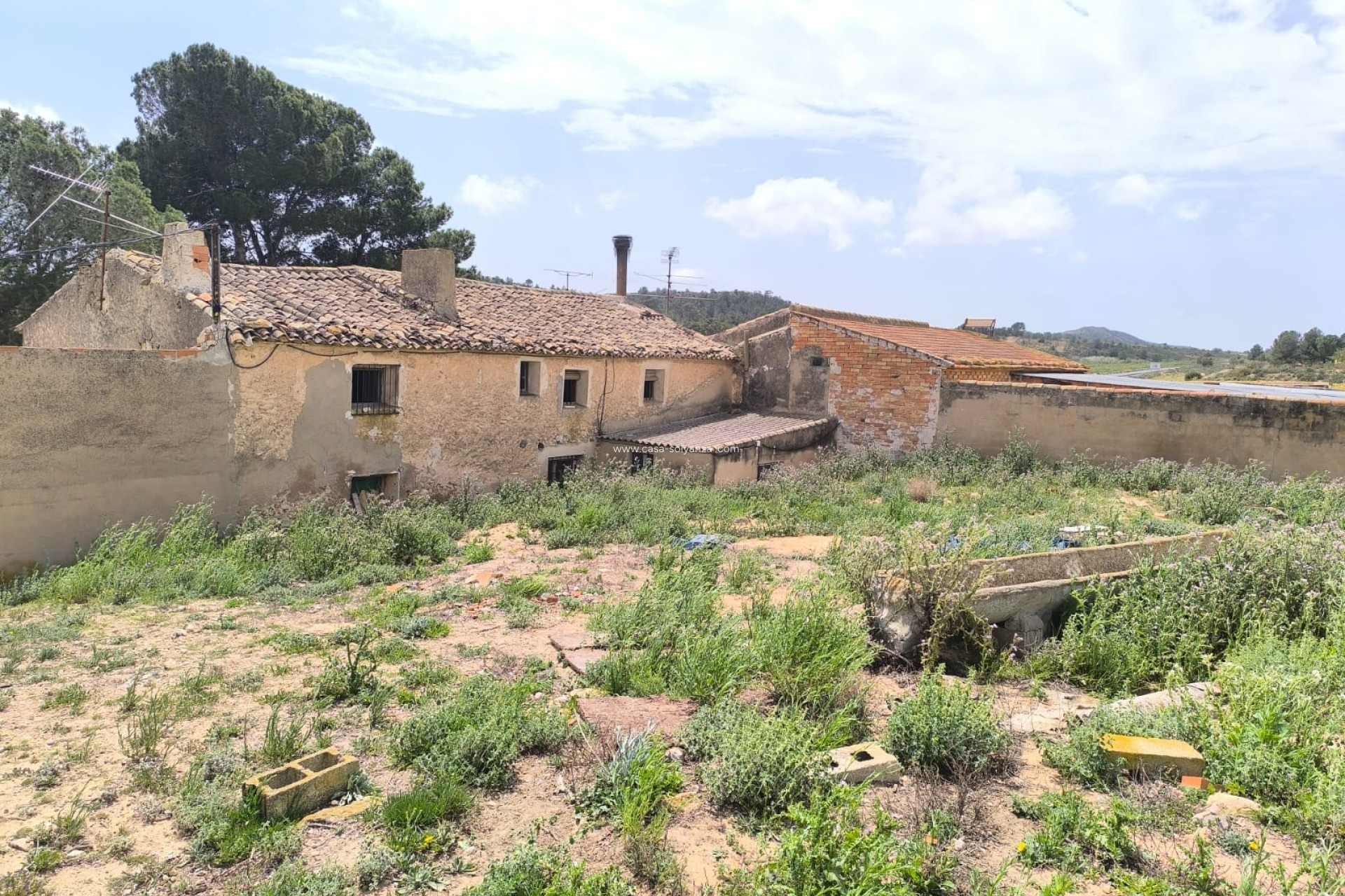 Revente - Country Property/Finca - Yecla - Inland