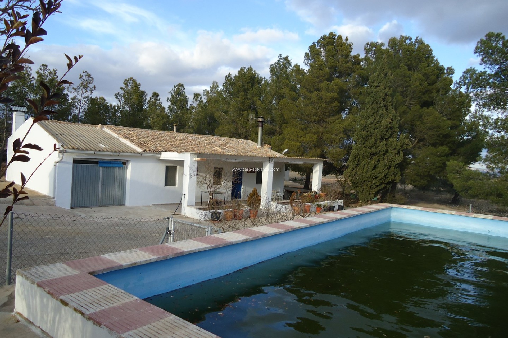 Revente - Country Property/Finca - Yecla - Inland