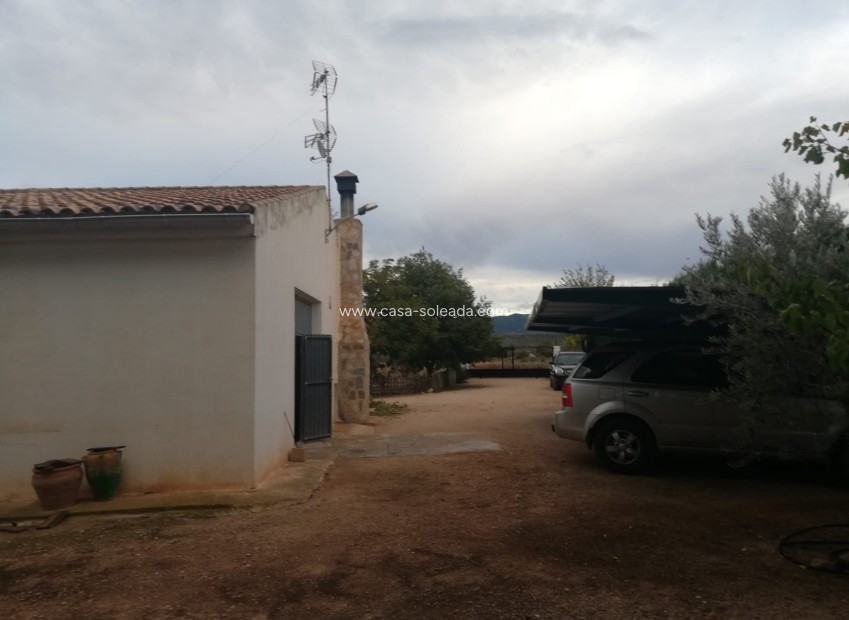 Revente - Country Property/Finca - Yecla - Inland