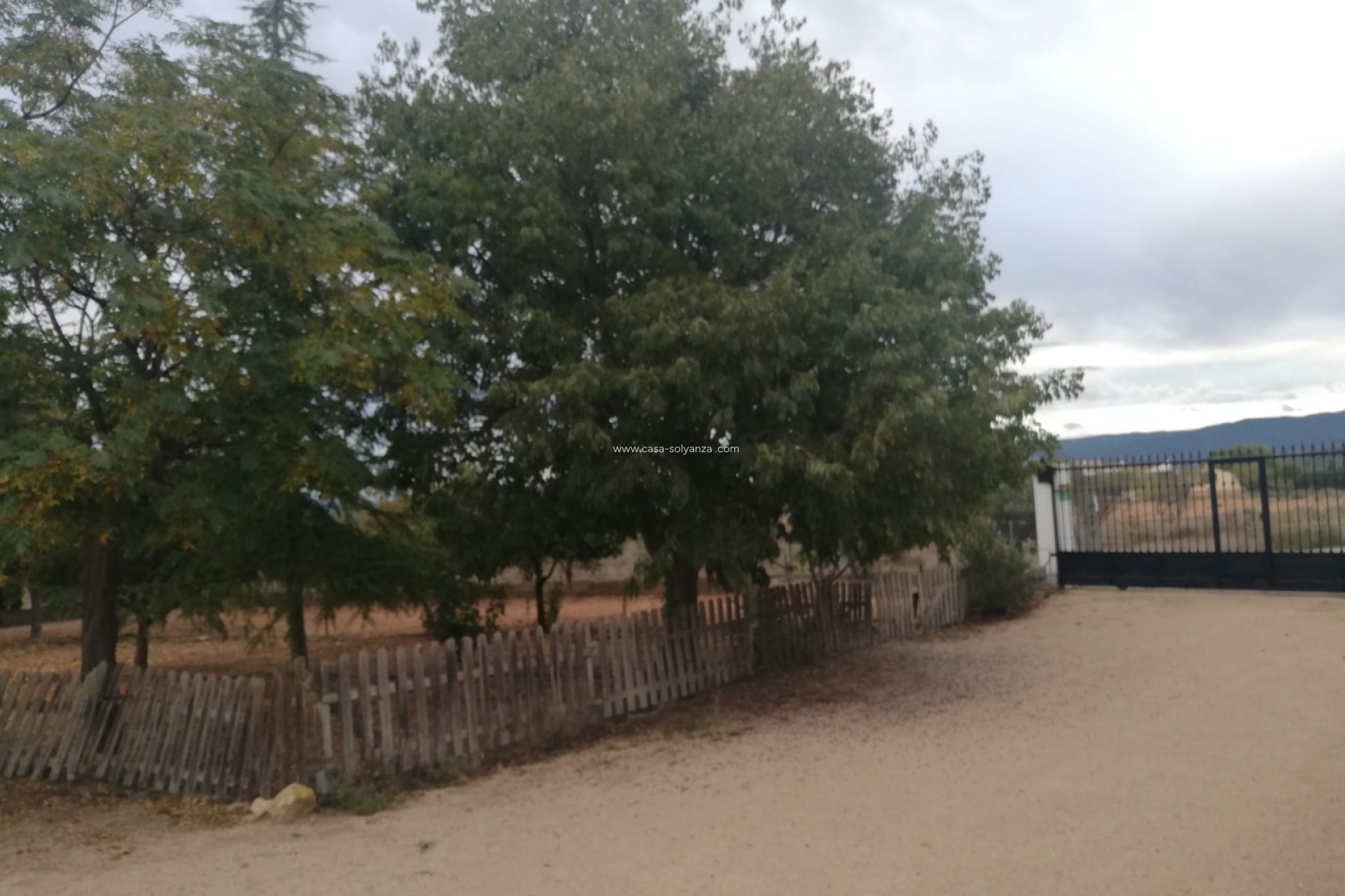 Revente - Country Property/Finca - Yecla - Inland