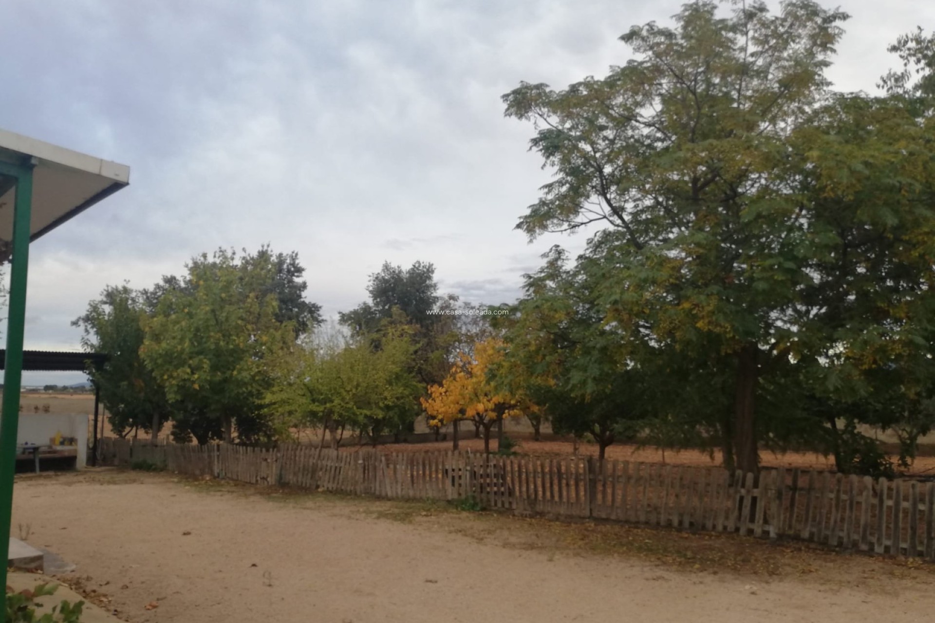 Revente - Country Property/Finca - Yecla - Inland