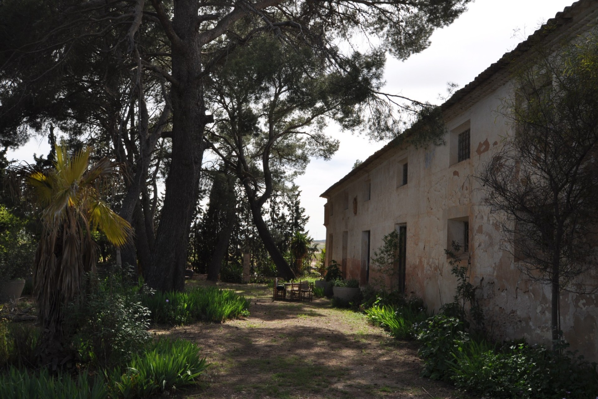 Revente - Country Property/Finca - Yecla - Inland