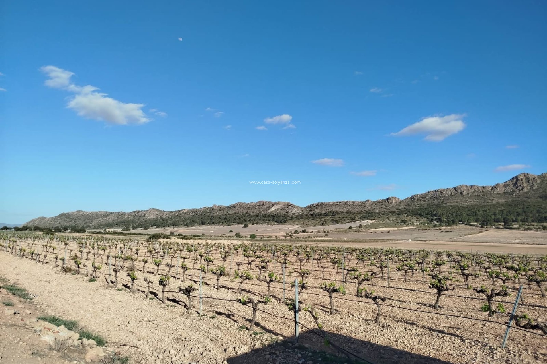 Revente - Country Property/Finca - Yecla - Inland