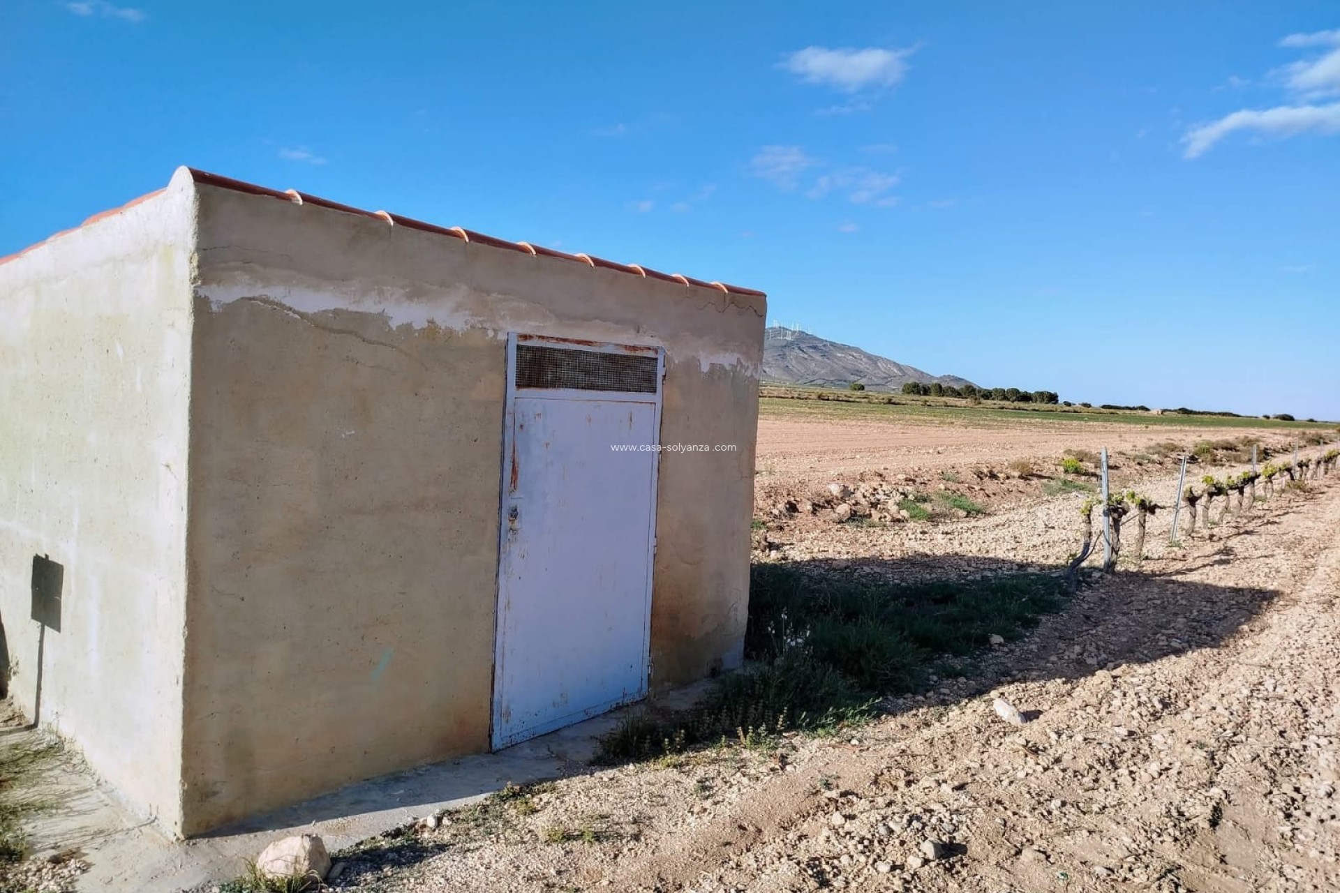 Revente - Country Property/Finca - Yecla - Inland