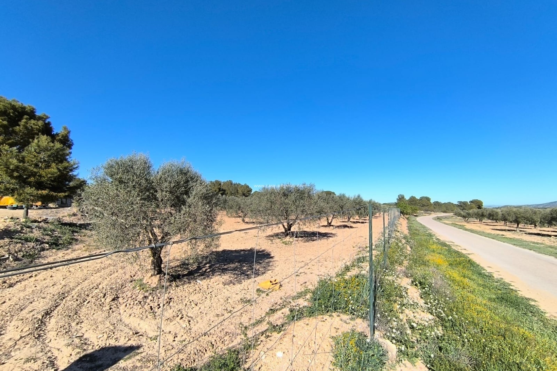 Revente - Country Property/Finca - Yecla - Inland