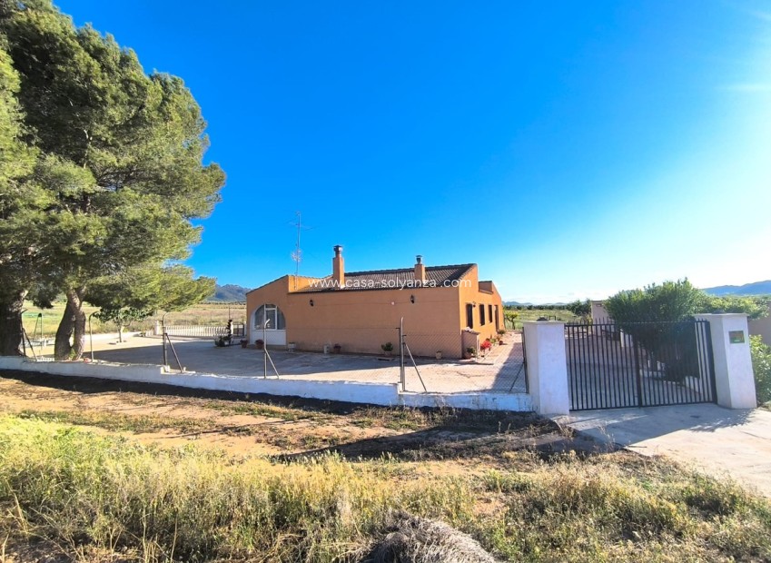 Revente - Country Property/Finca - Yecla - Yecla Centro