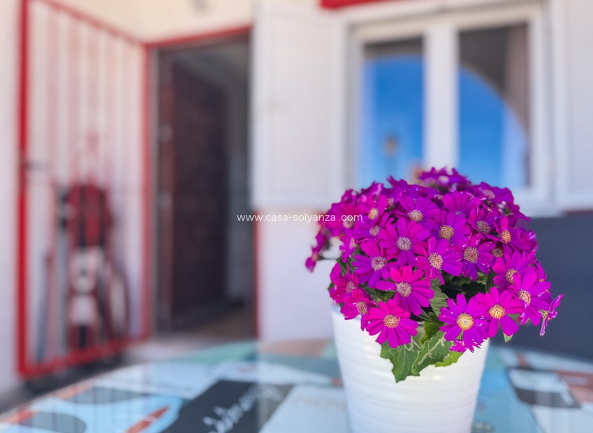 Revente - Duplex apartment - Torrevieja - Cabo cervera