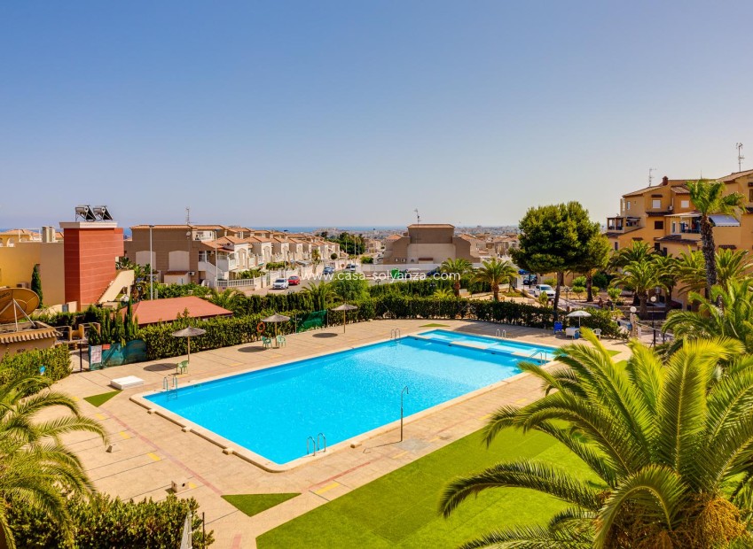 Revente - Estudio - Torrevieja - Torreblanca