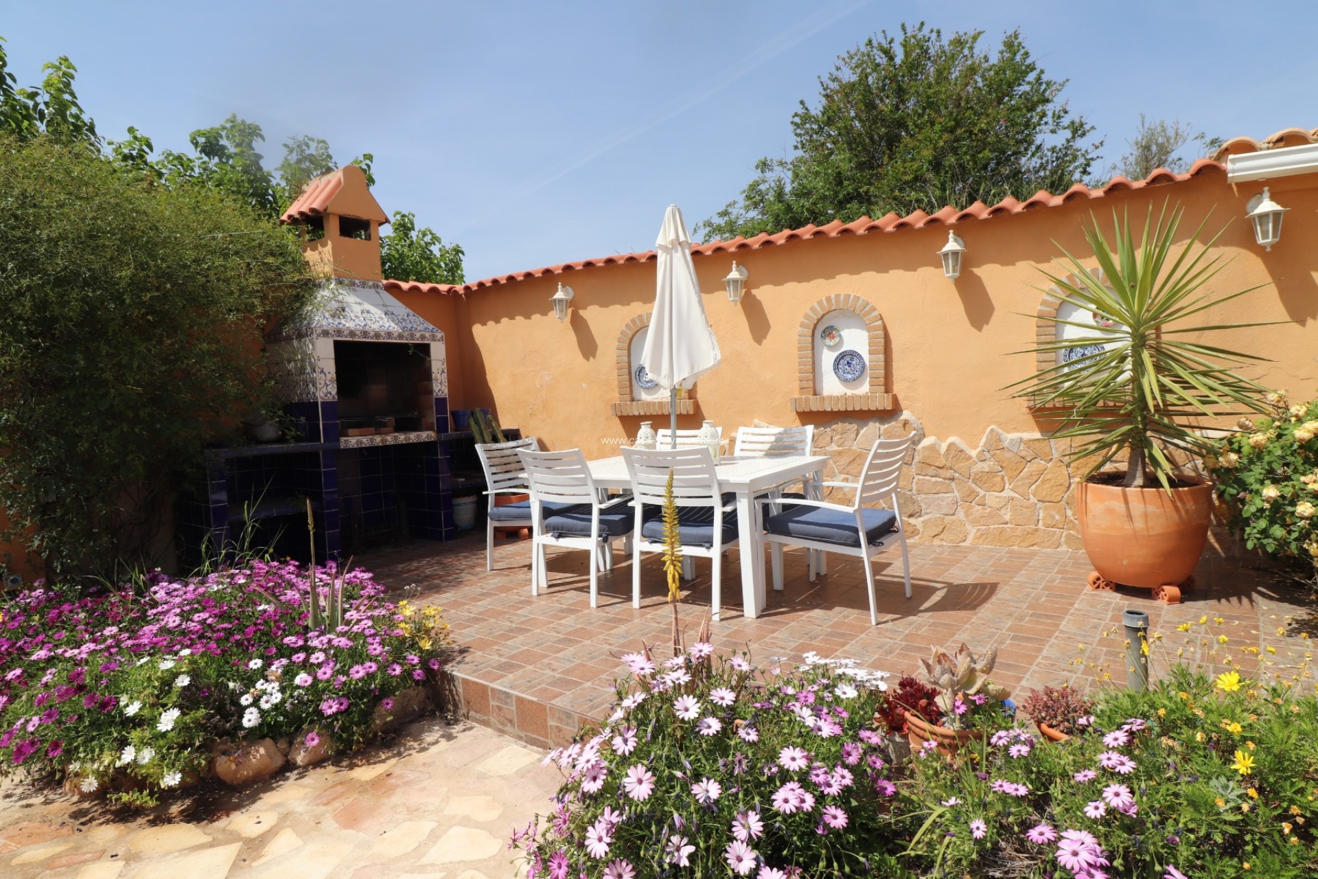 Revente - Finca - Country Property - Hondón de las Nieves - La Canalosa
