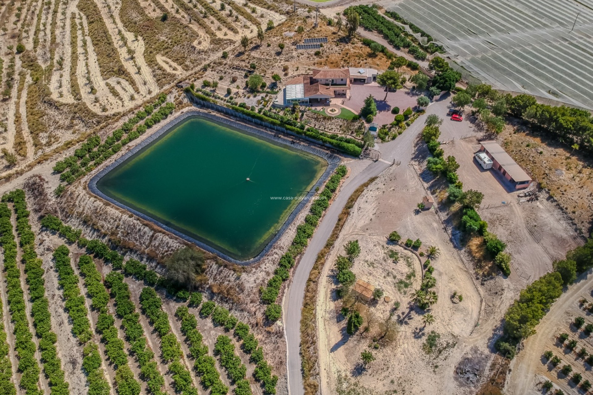 Revente - Finca Country Property - San Miguel de Salinas - Torremendo