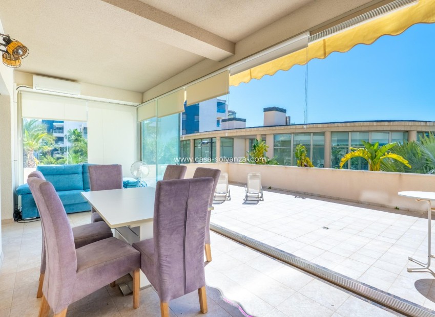 Revente - Flat - Orihuela Costa - Los Dolses