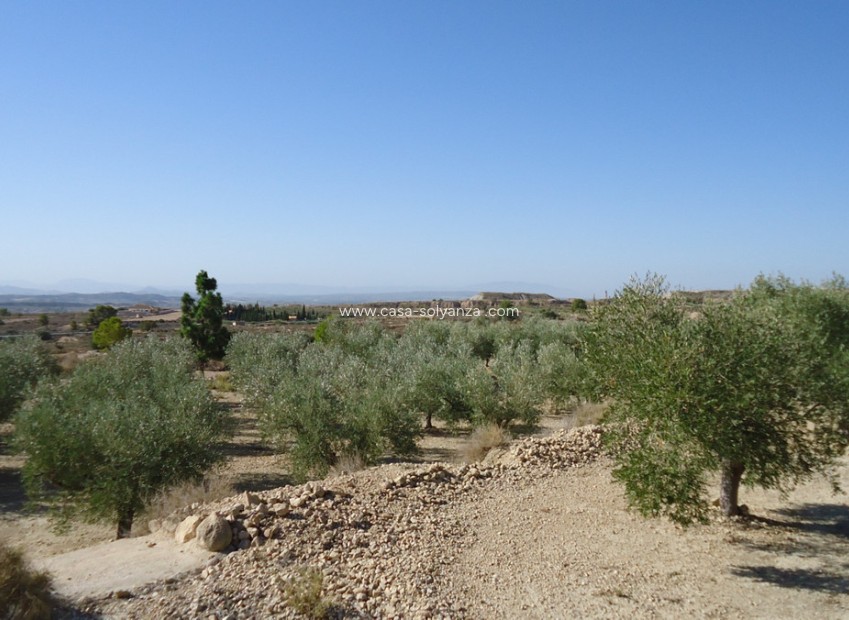 Revente - Land - Abanilla - Abanilla Centro