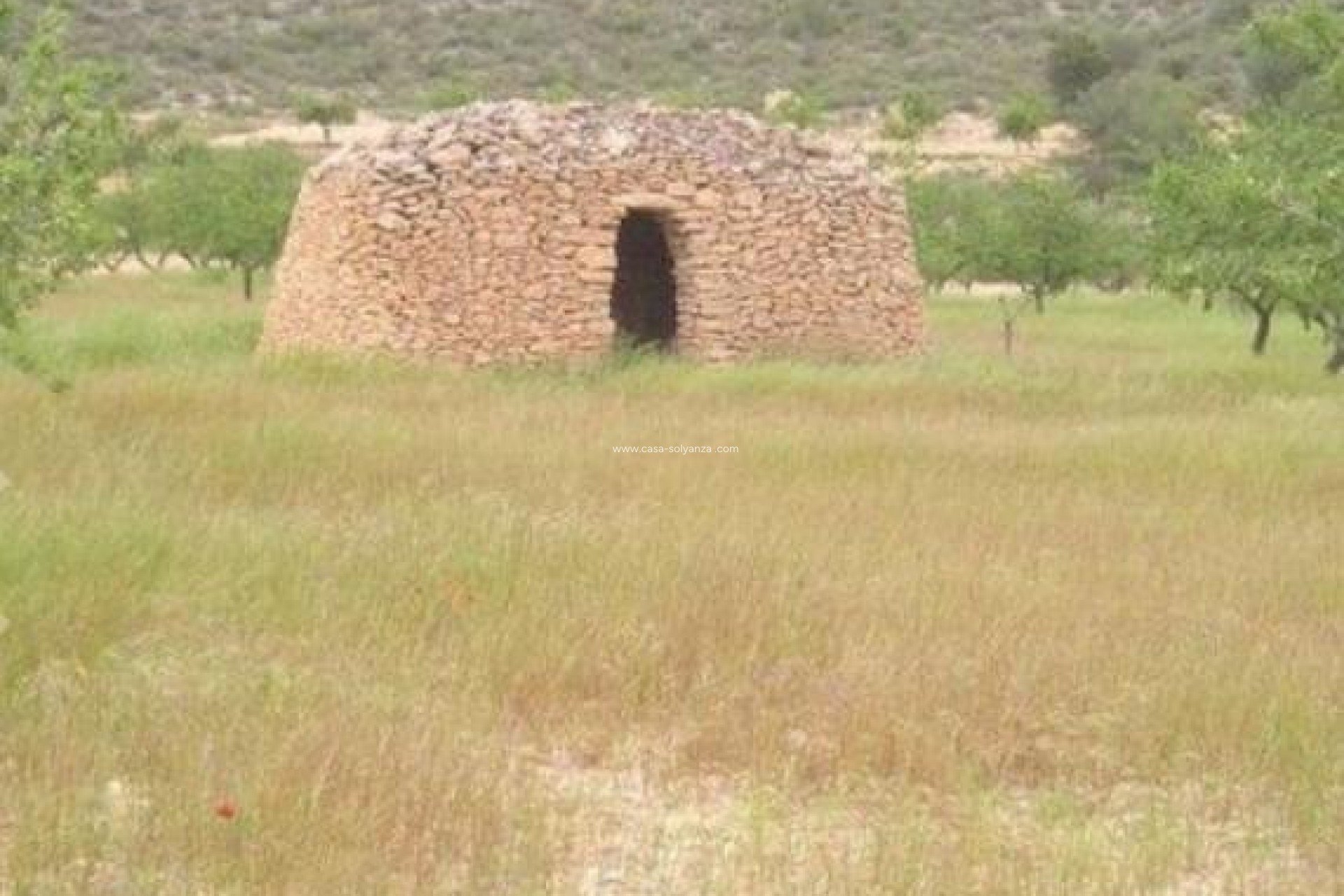 Revente - Land - Abanilla - Cañada Del Trigo