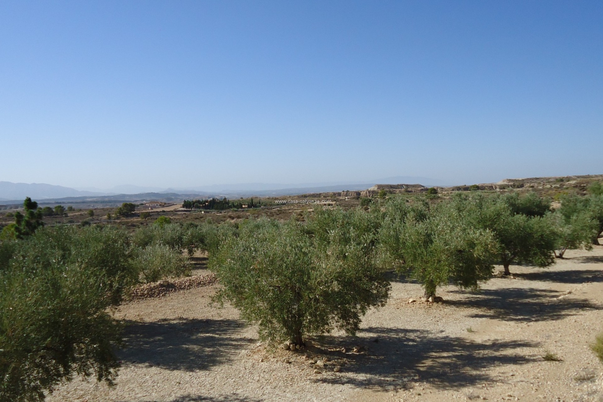 Revente - Land - Abanilla - Inland