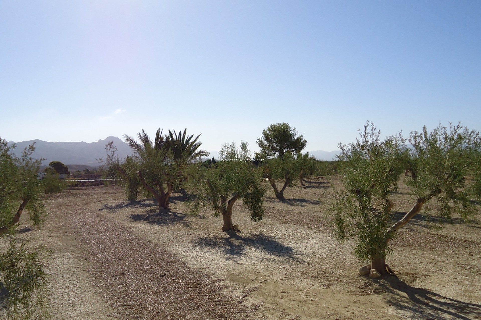 Revente - Land - Abanilla - Inland