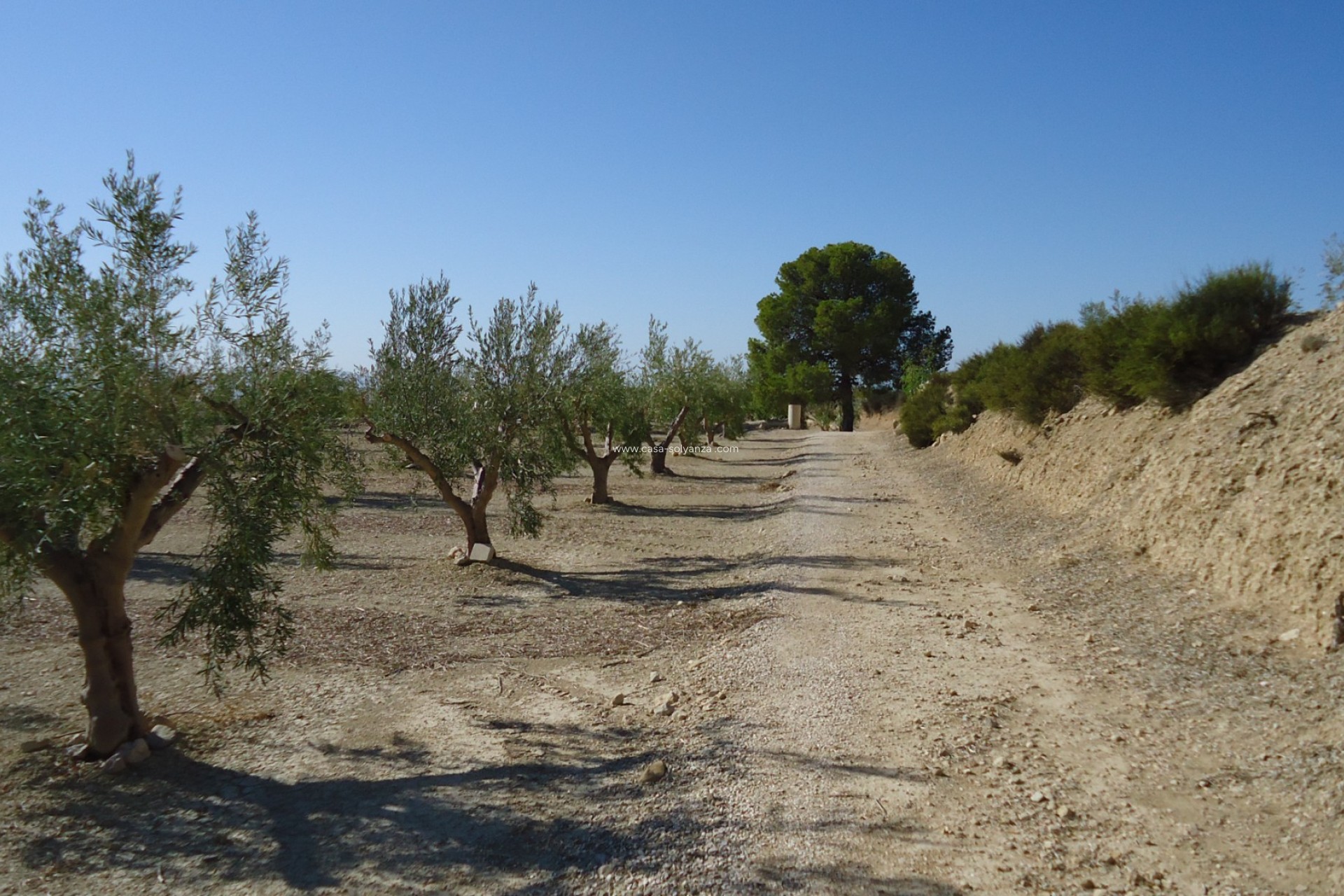 Revente - Land - Abanilla - Inland
