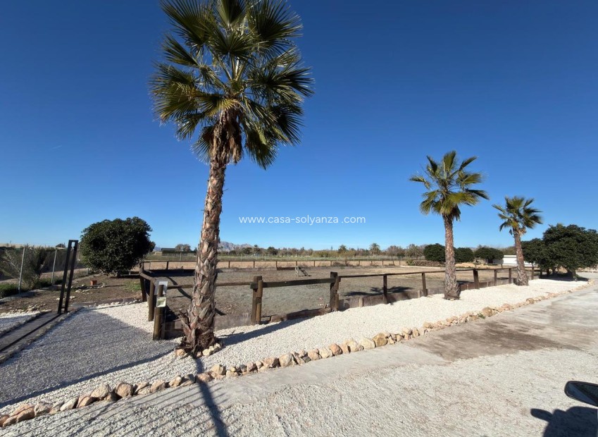 Revente - Land - Algorfa - Inland