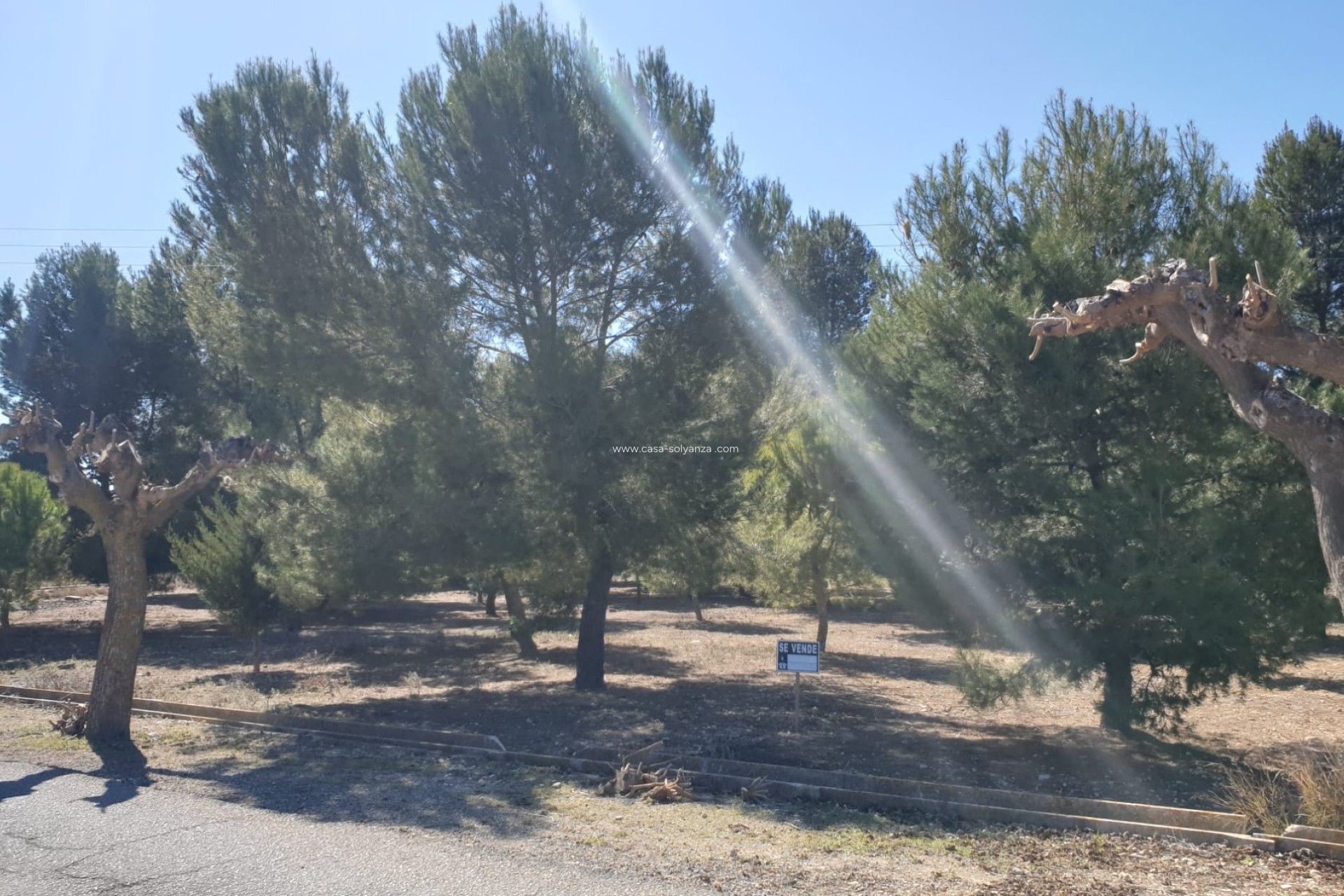 Revente - Land - Beneixama - Inland