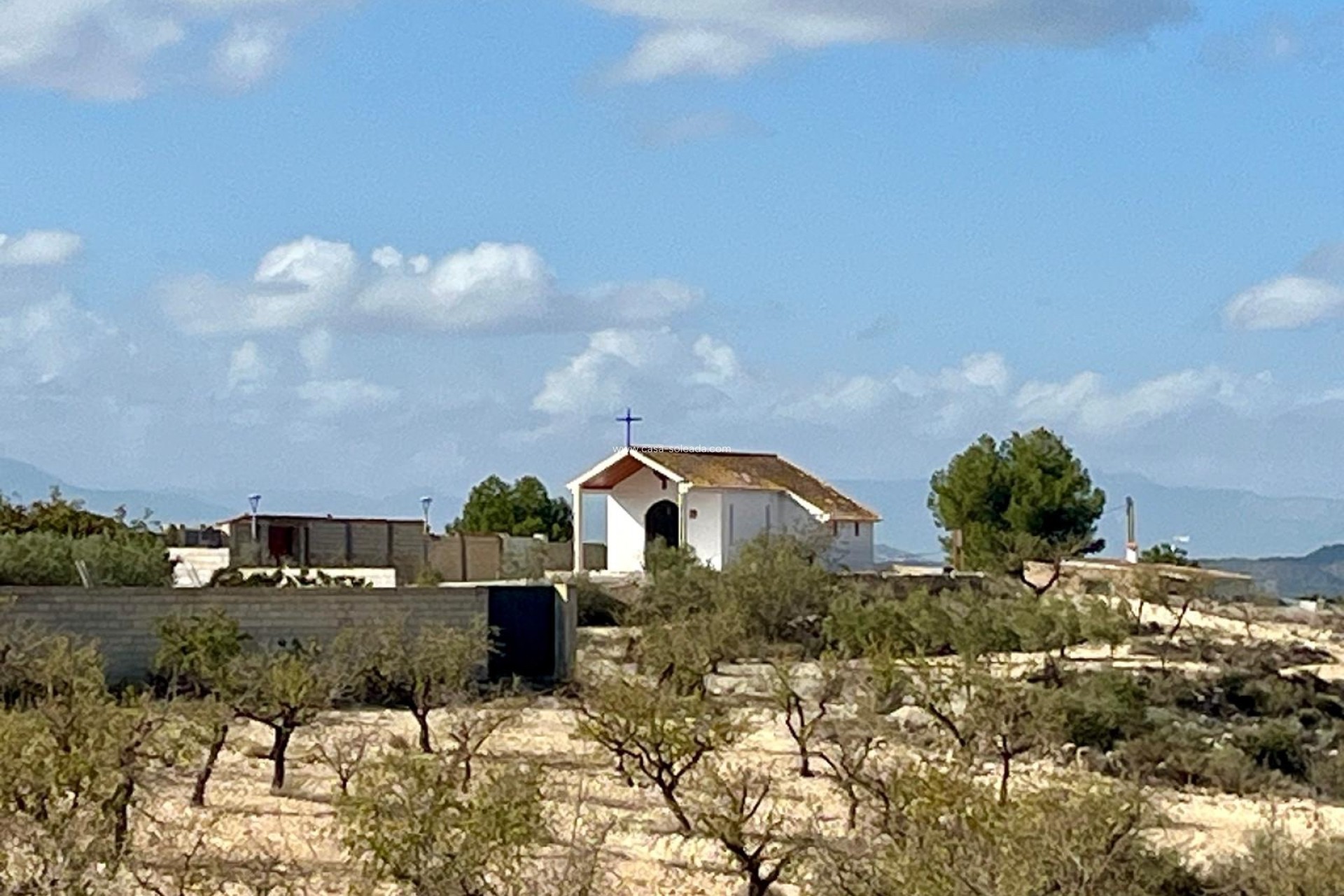 Revente - Land - Bullas - Inland