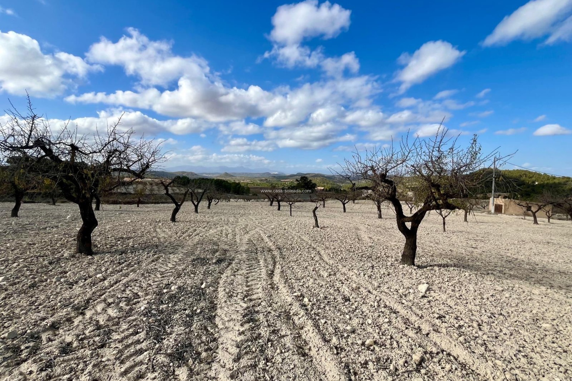 Revente - Land - Bullas - Inland