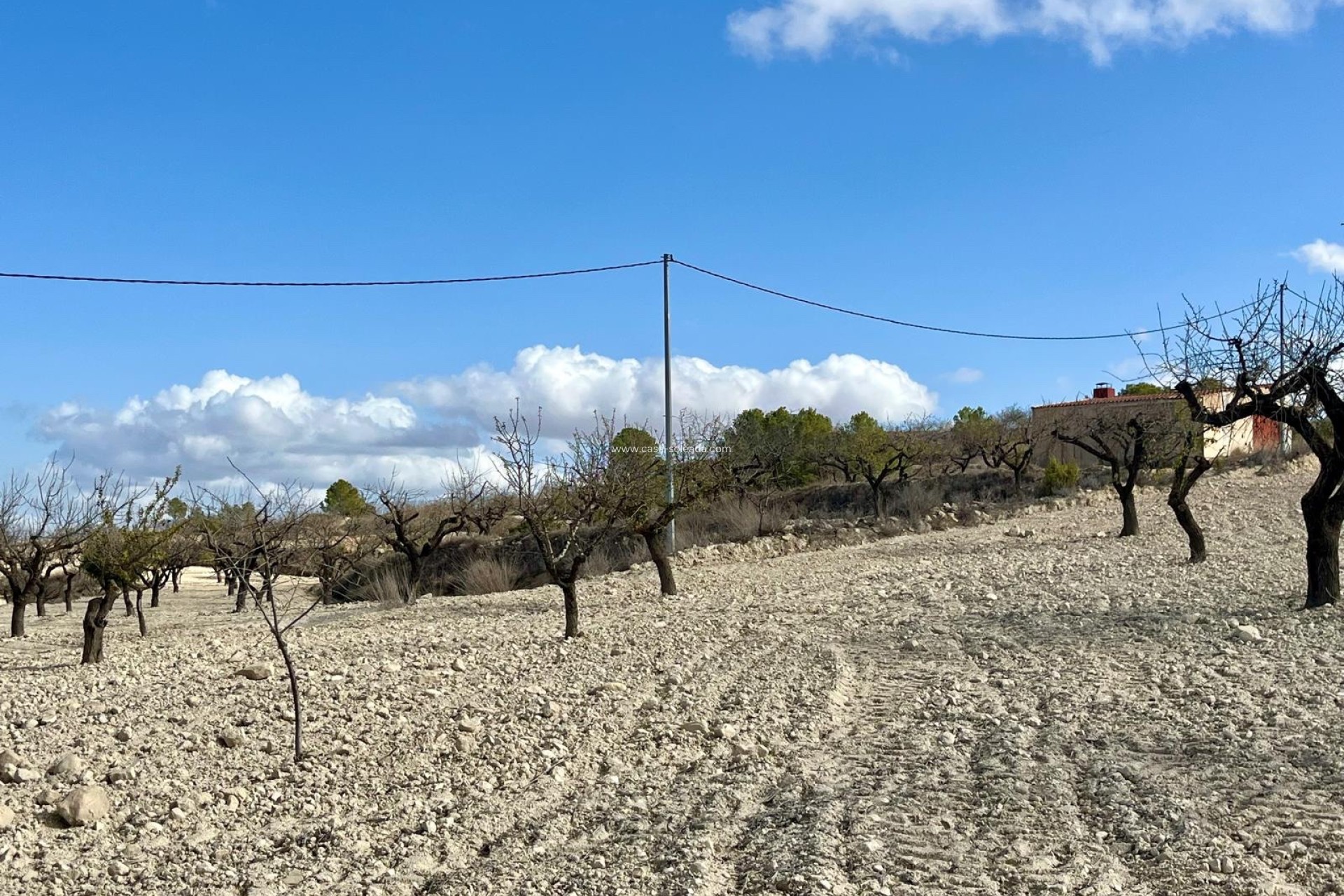 Revente - Land - Bullas - Inland