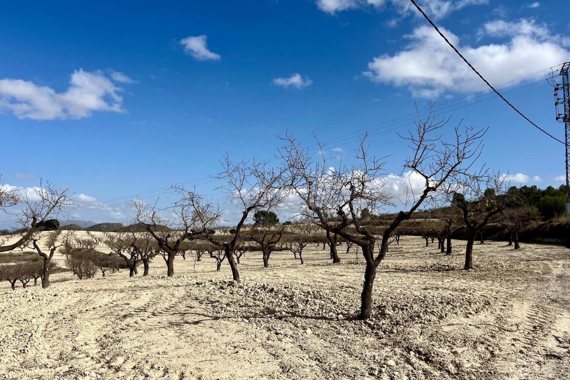 Revente - Land - Bullas - Inland