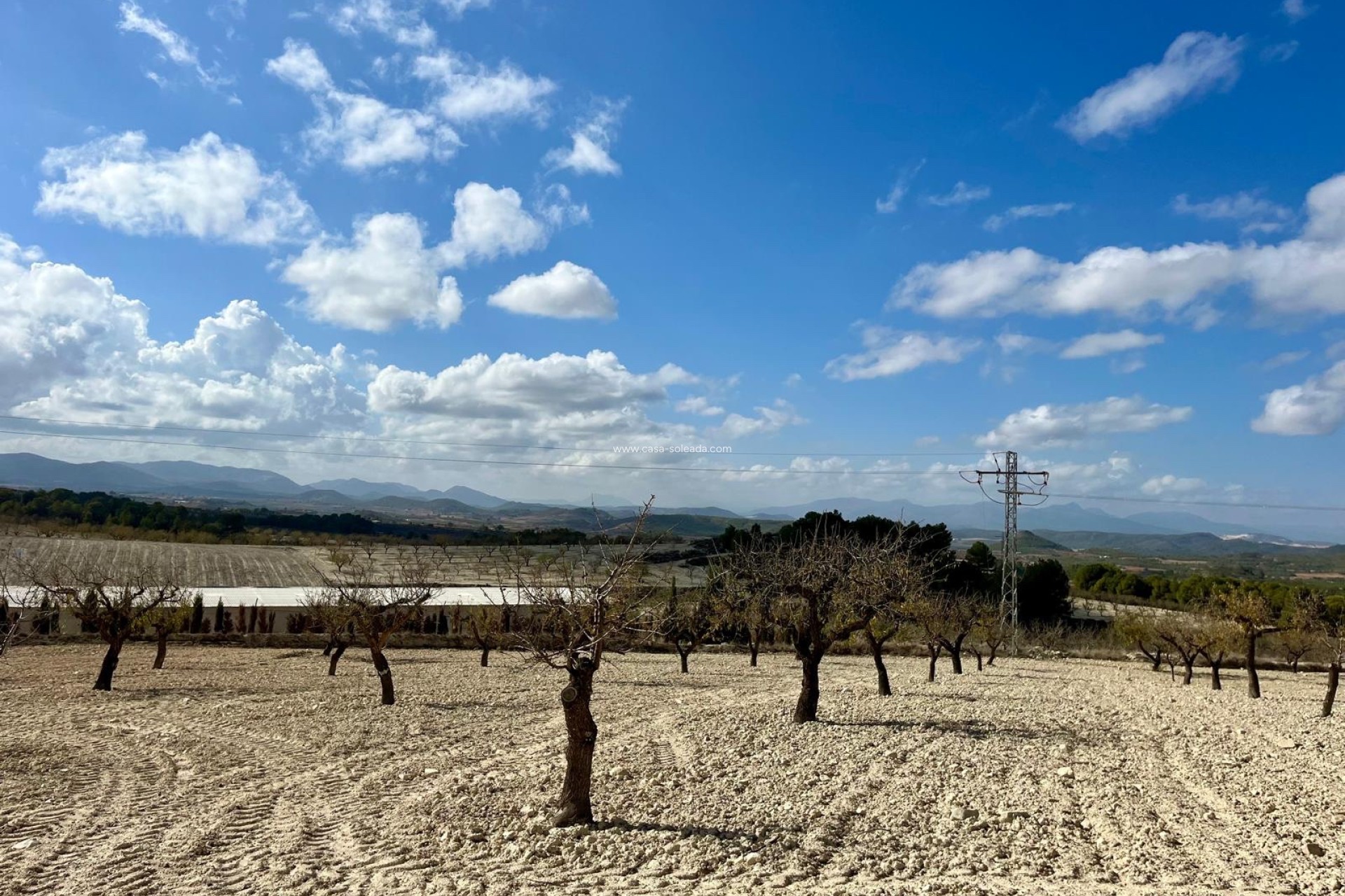 Revente - Land - Bullas - Inland