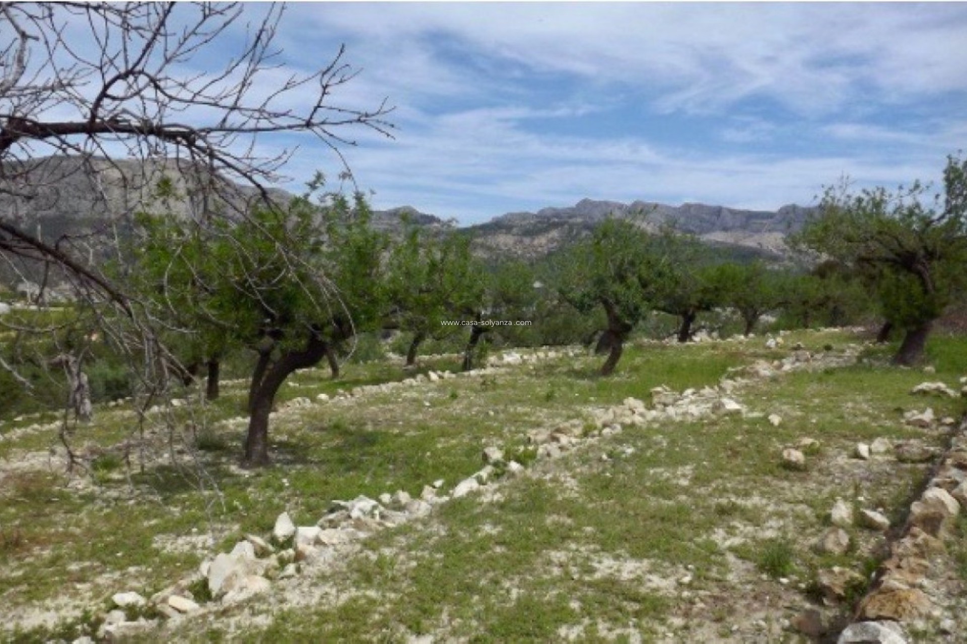 Revente - Land - Callosa d'en Sarria - Callosa d'en Sarria Centro