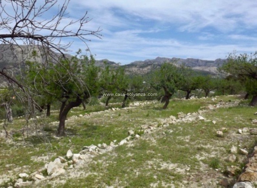 Revente - Land - Callosa d'en Sarria - Callosa d'en Sarria Centro