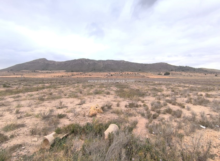 Revente - Land - Canada De La Lena - Inland