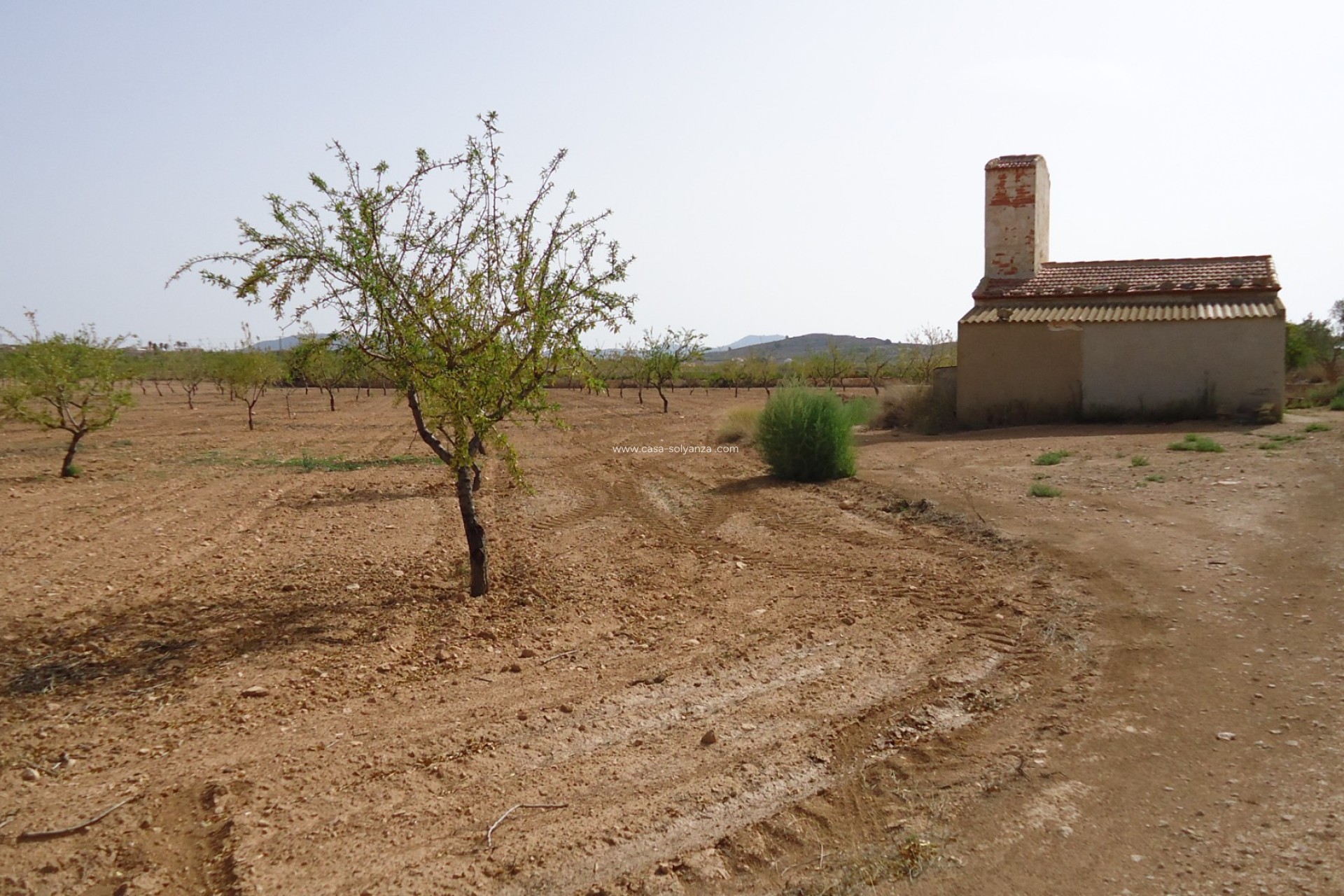 Revente - Land - Canada del Trigo - Inland