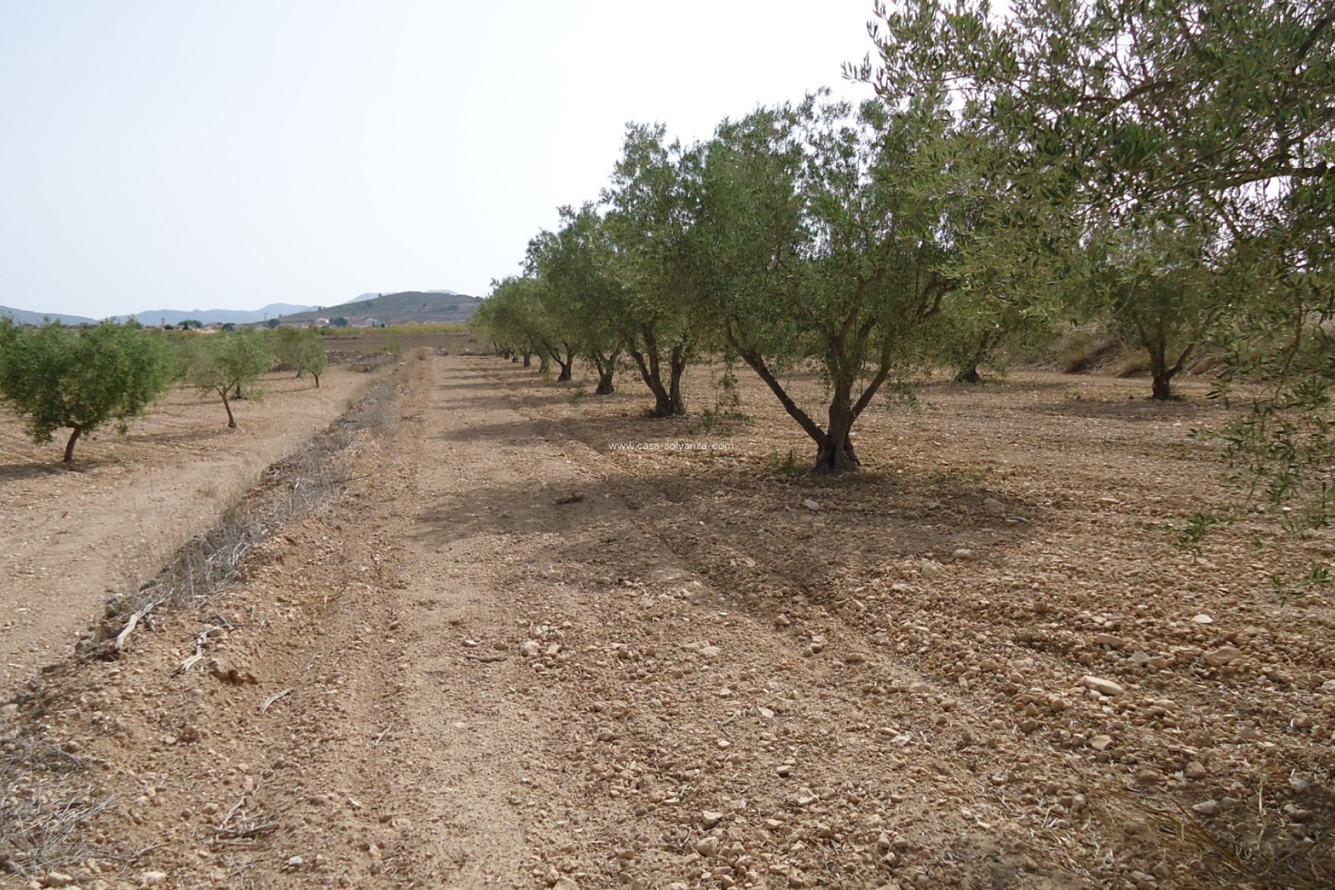 Revente - Land - Canada del Trigo - Inland