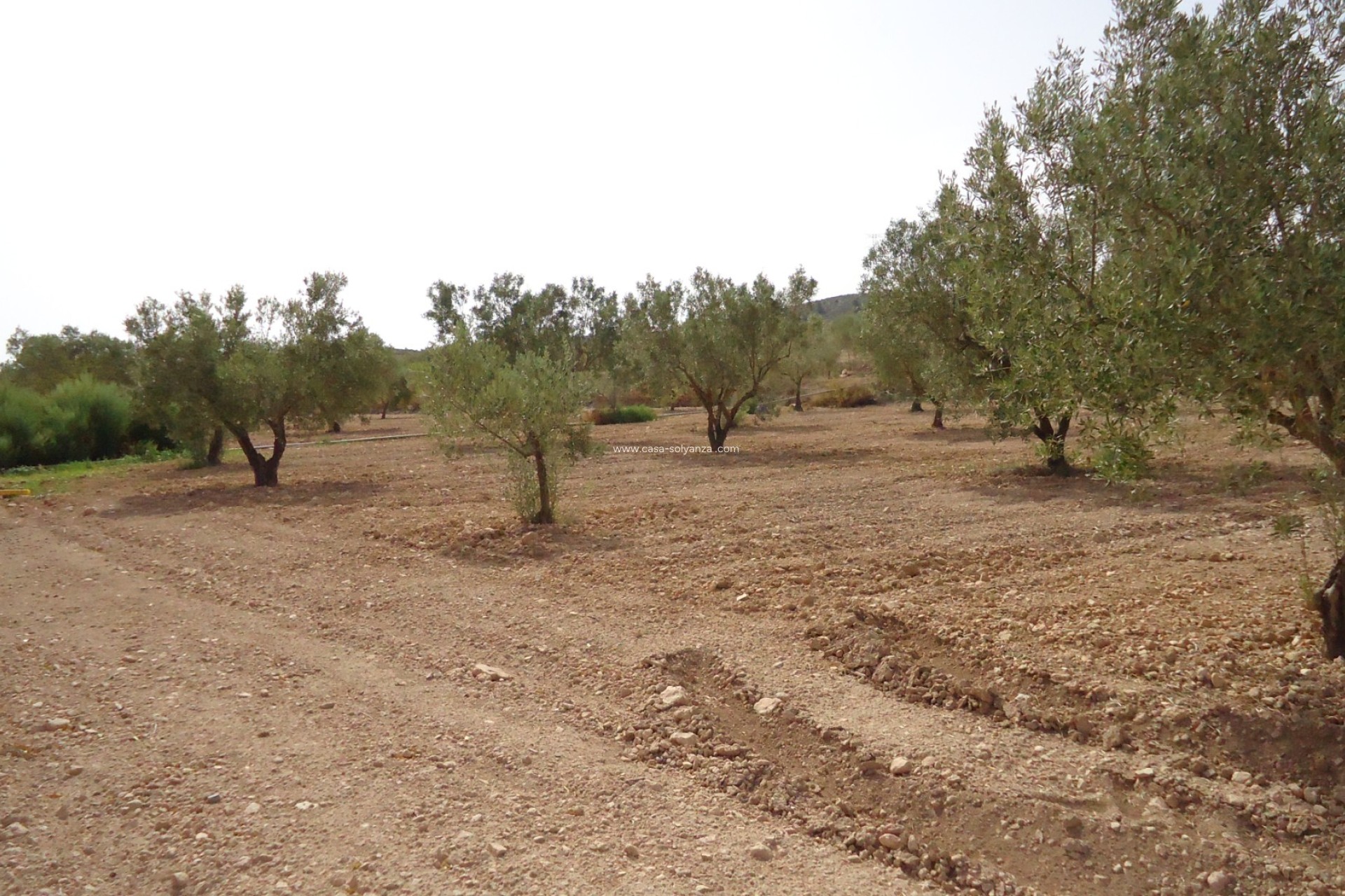 Revente - Land - Canada del Trigo - Inland