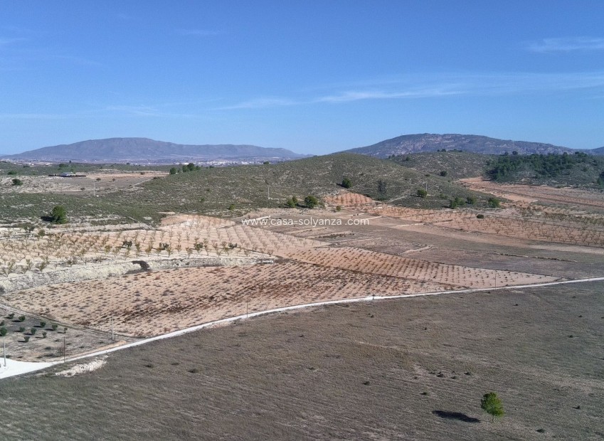 Revente - Land - Canada del Trigo - Inland