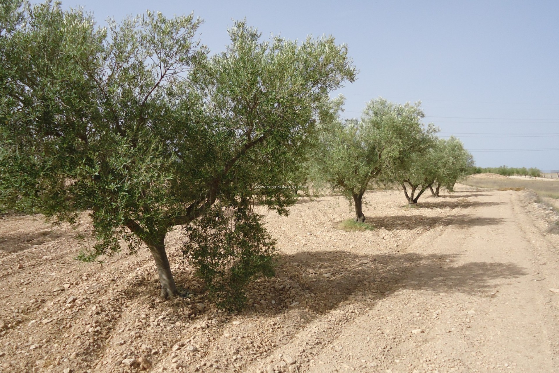Revente - Land - Canada del Trigo - Inland