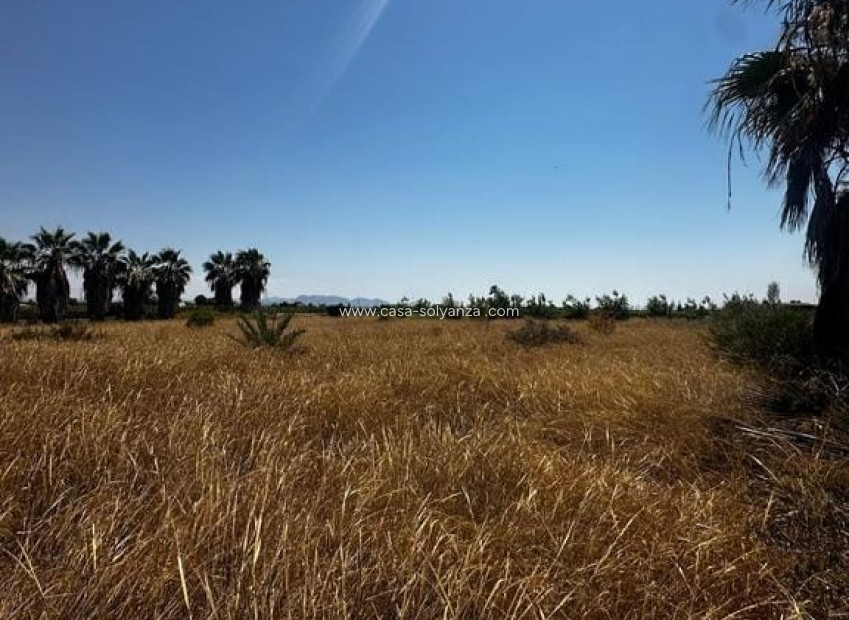 Revente - Land - Elche - Costa Blanca