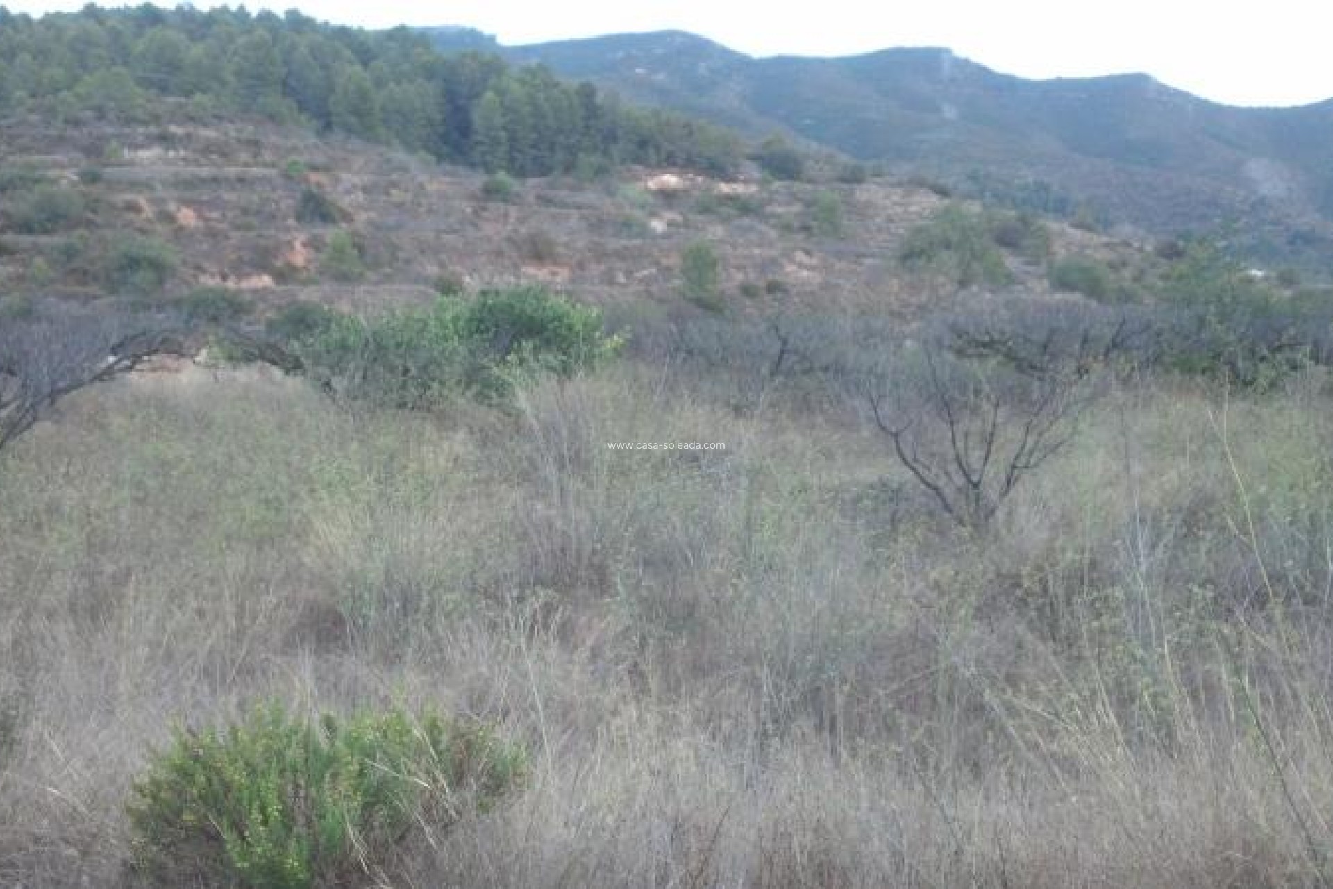 Revente - Land - Gandia - Inland